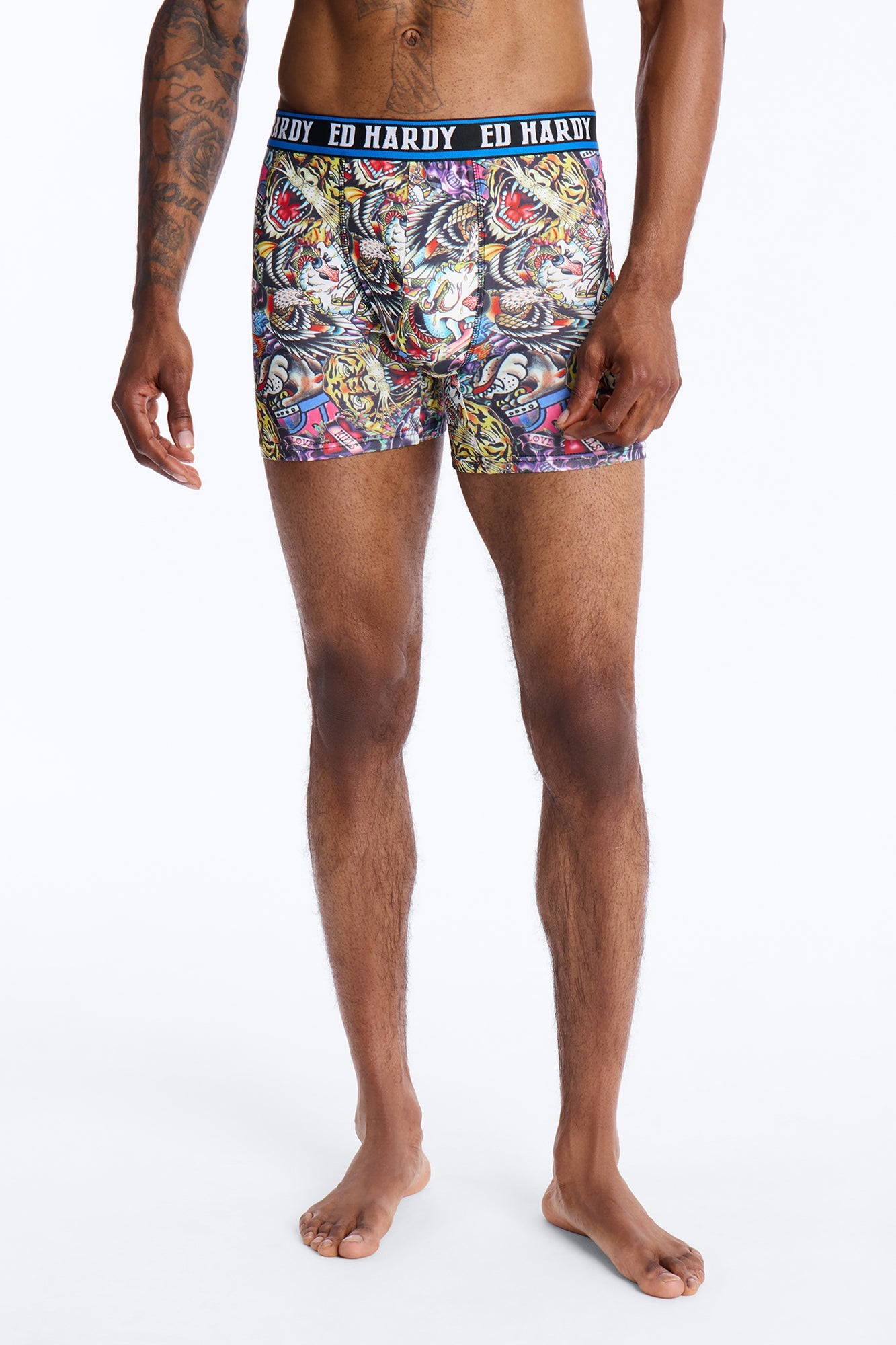 Wild Savage Ed Hardy 3 Pack Cartoon Boxer Briefs - Multi Color