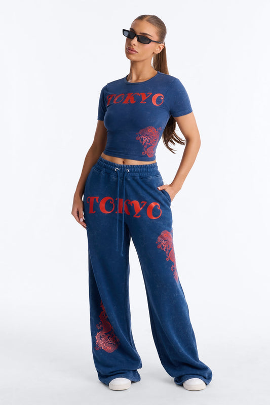 Tokyo Fleece Wide Leg Pant Set - Blue NEWFASHIONEDGE
