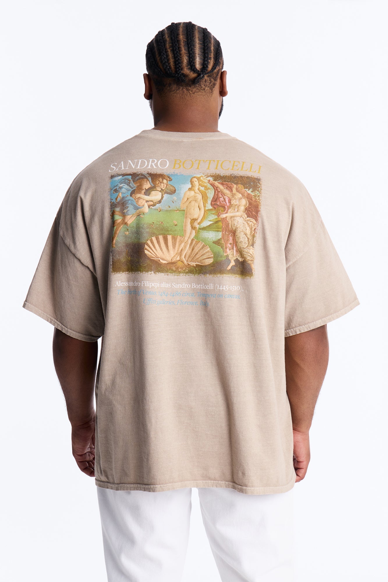 Birth Of Venus Botticelli Short Sleeve Tee - Taupe