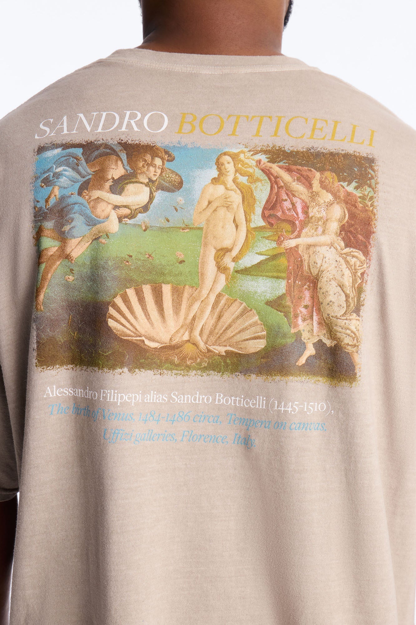 Birth Of Venus Botticelli Short Sleeve Tee - Taupe