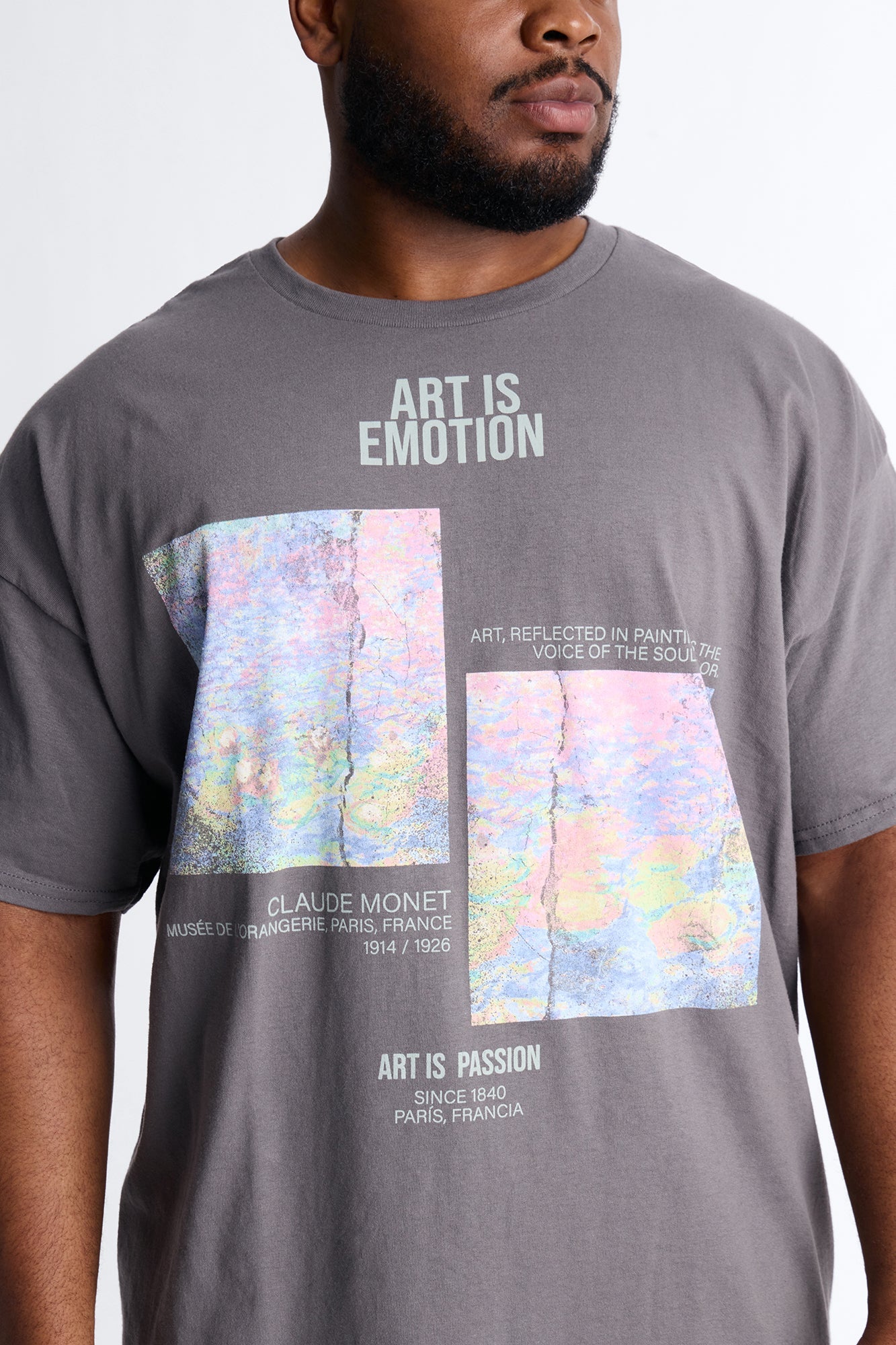 Monet Art Of Emotion Short Sleeve Tee - Charcoal