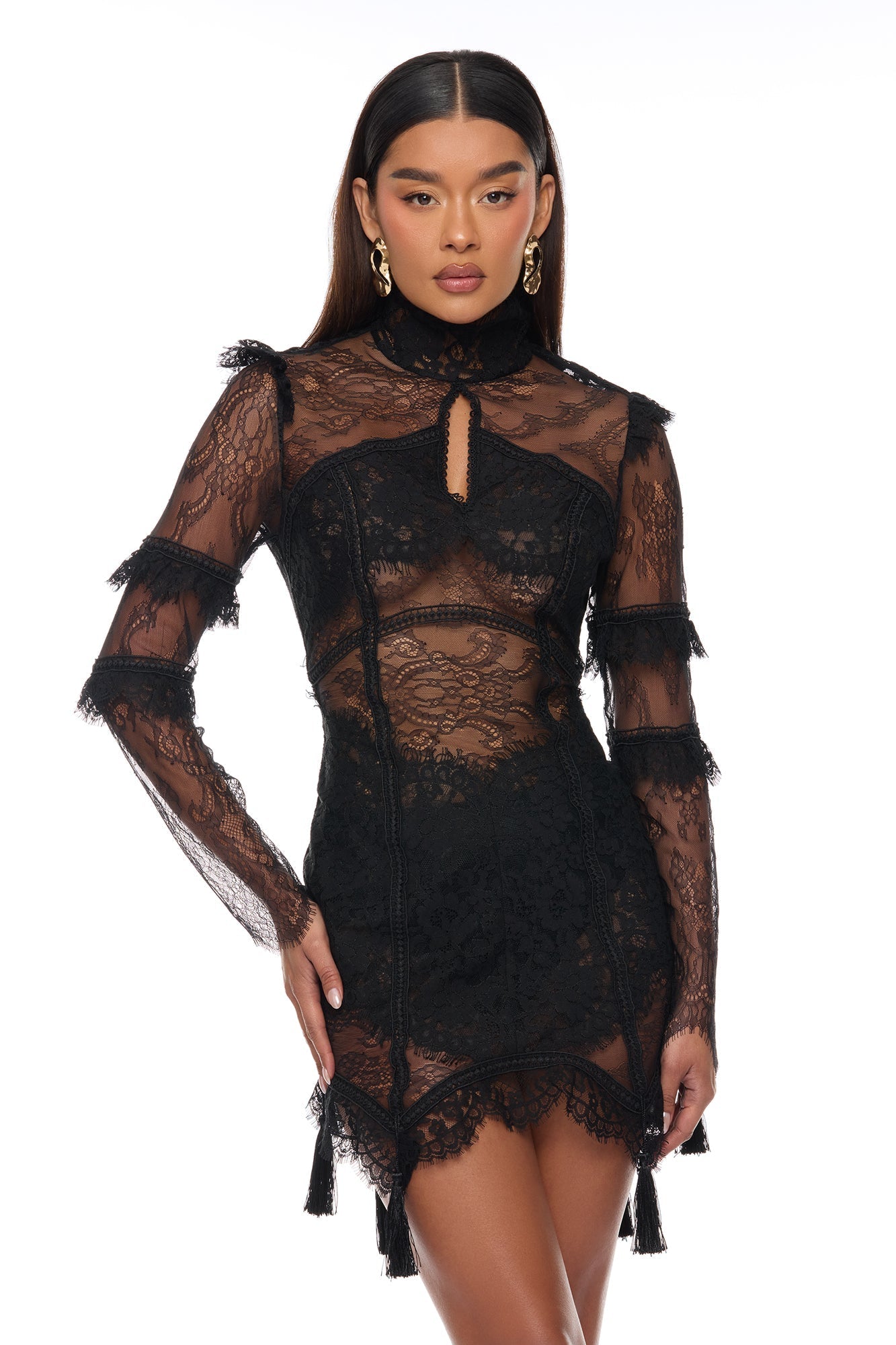 Lana Sheer Lace Mini Dress - Black