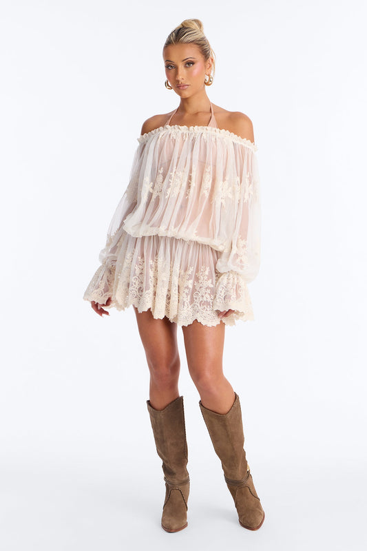 Blossom Mesh Embroidery Long Sleeve Mini Dress - Cream