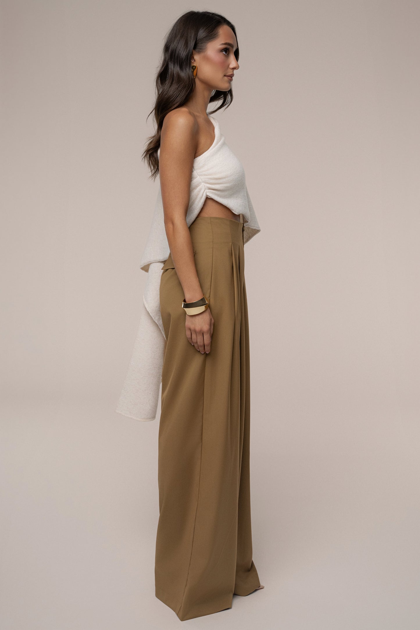 Tan Polished Pleat Trouser JLUXLABEL
