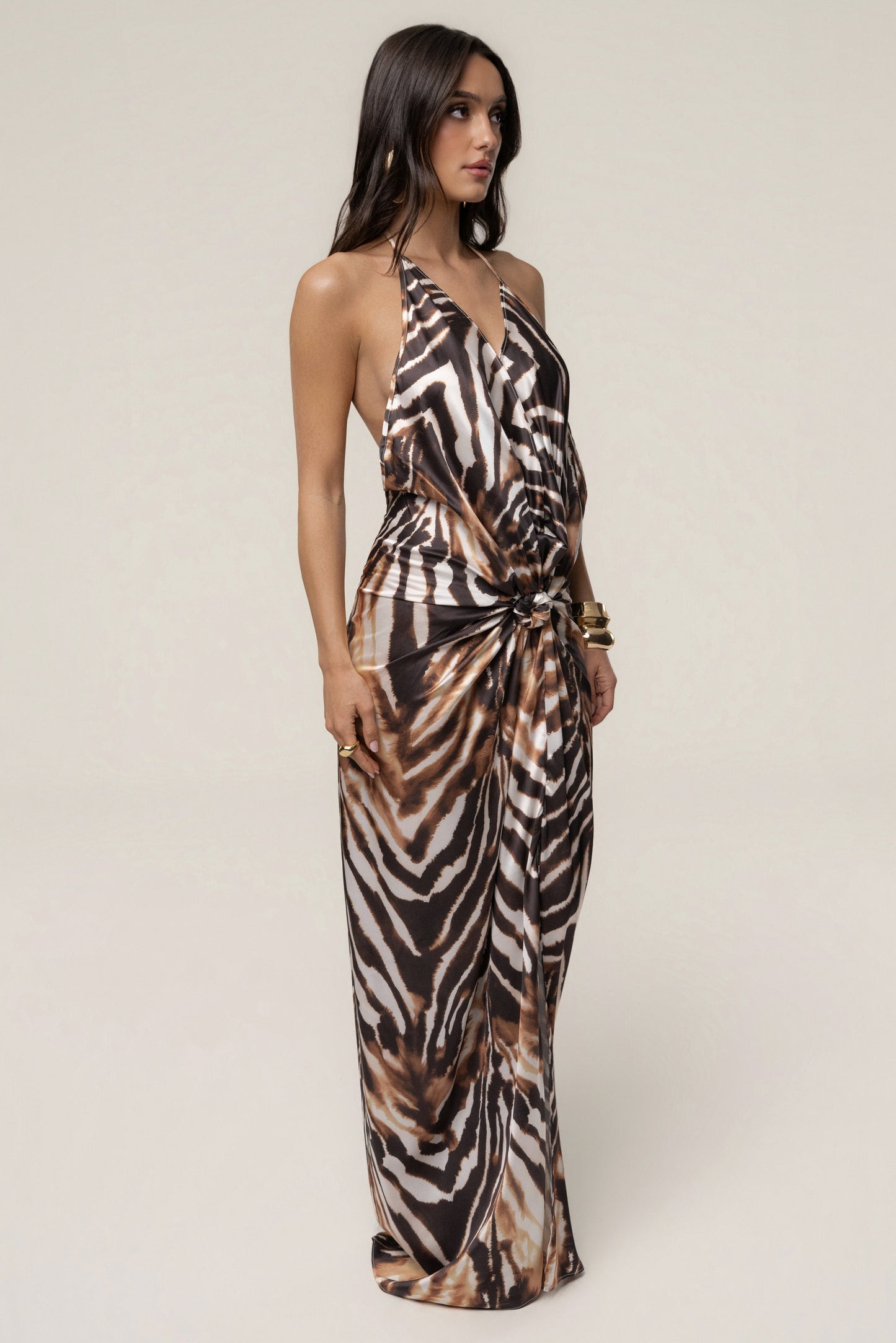 Multi Desert Muse Print Maxi Dress JLUXLABEL
