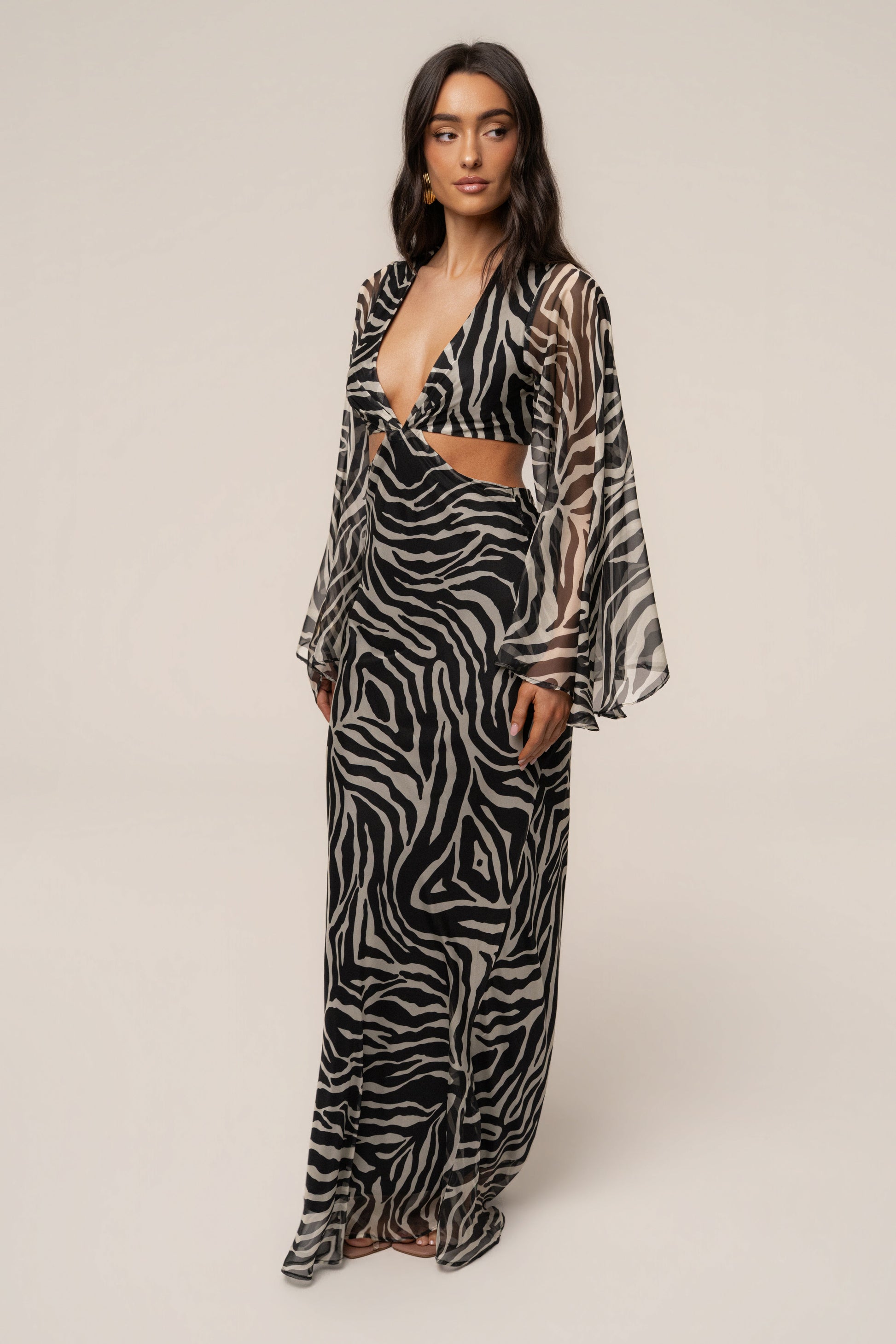Black Zebra Instincts Print Maxi Dress JLUXLABEL