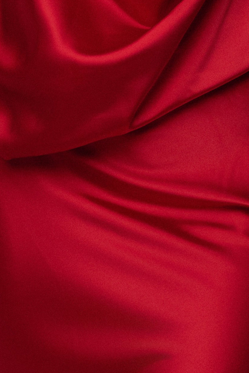 Red Delmara Cowl Maxi Dress JLUXLABEL