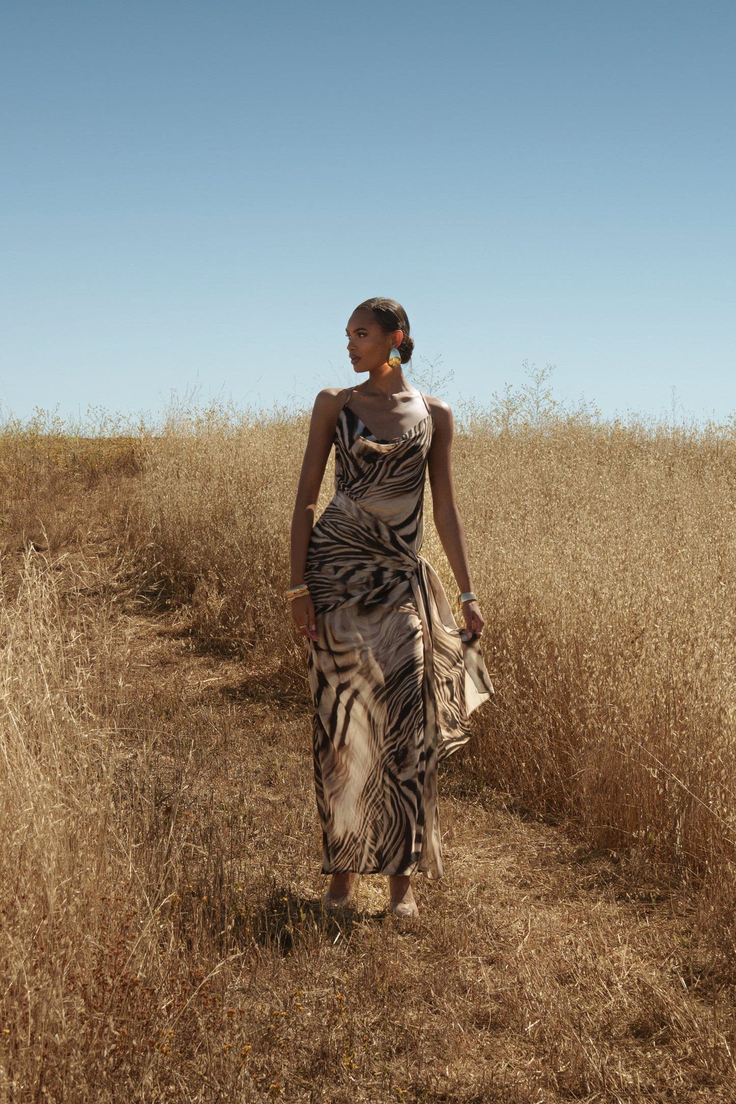 Brown Zebra Print Infinite Journey Maxi Dress JLUXLABEL
