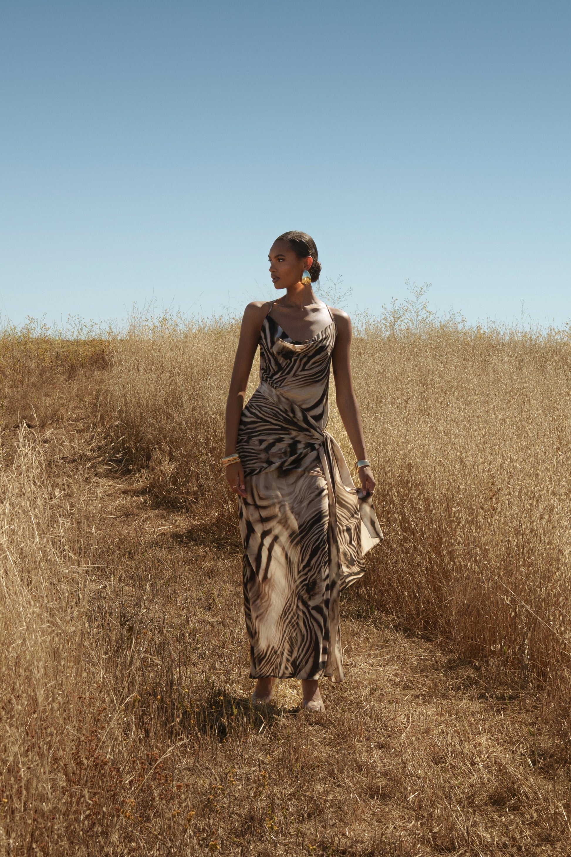 Brown Zebra Print Infinite Journey Maxi Dress JLUXLABEL