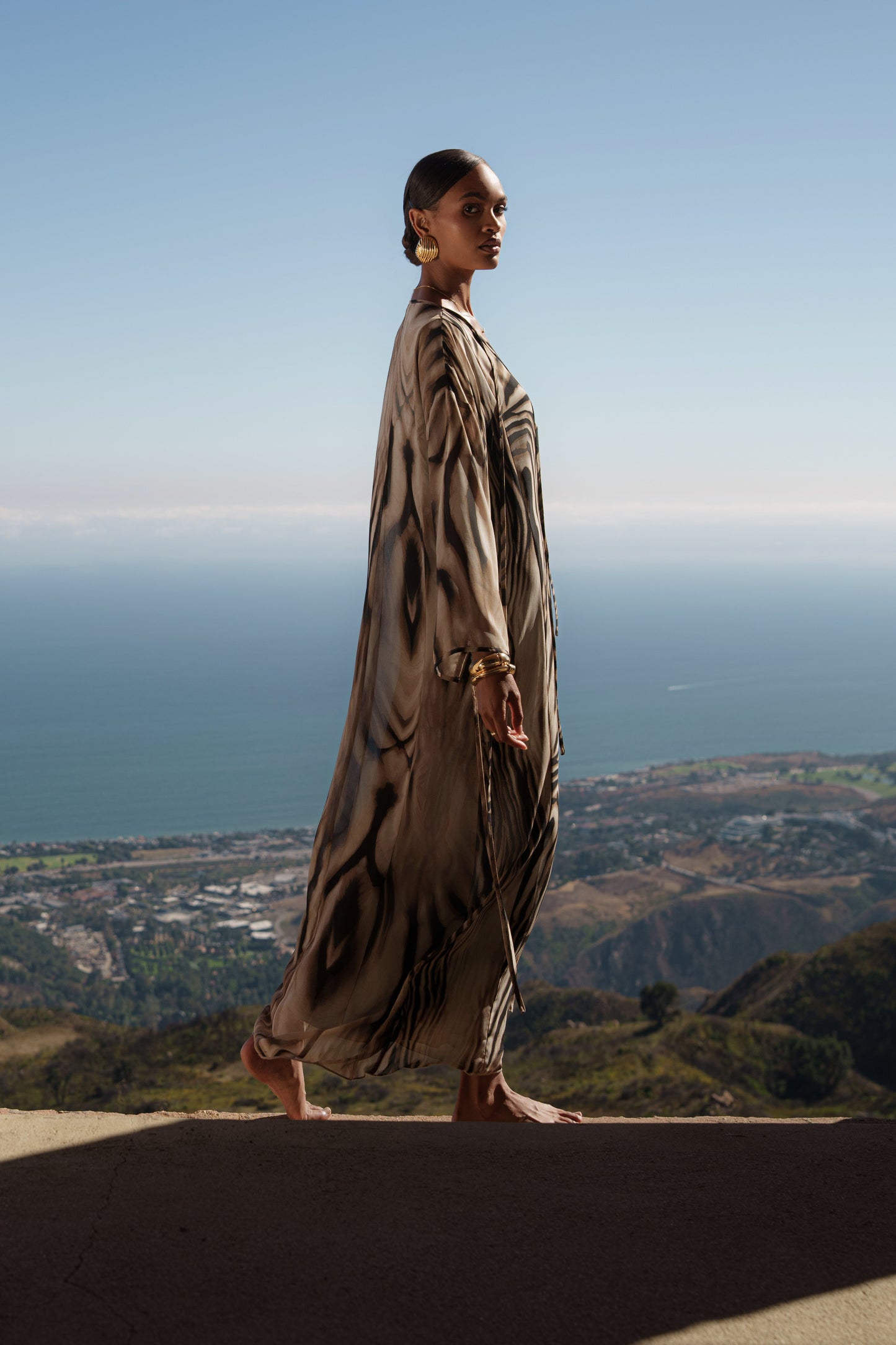 Brown Zebra Print New Vista Maxi Dress NEWFASHIONEDGE