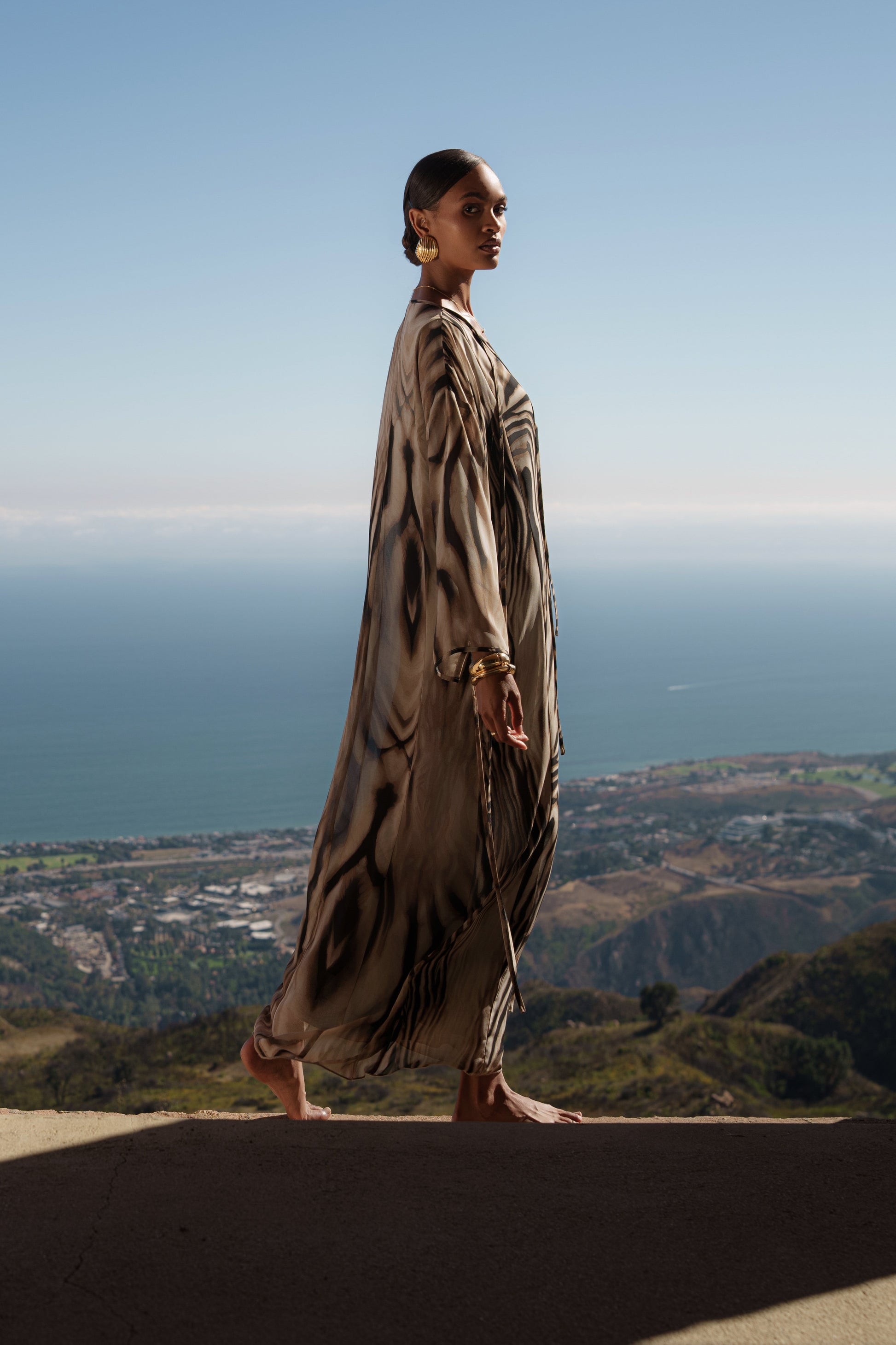 Brown Zebra Print New Vista Maxi Dress NEWFASHIONEDGE