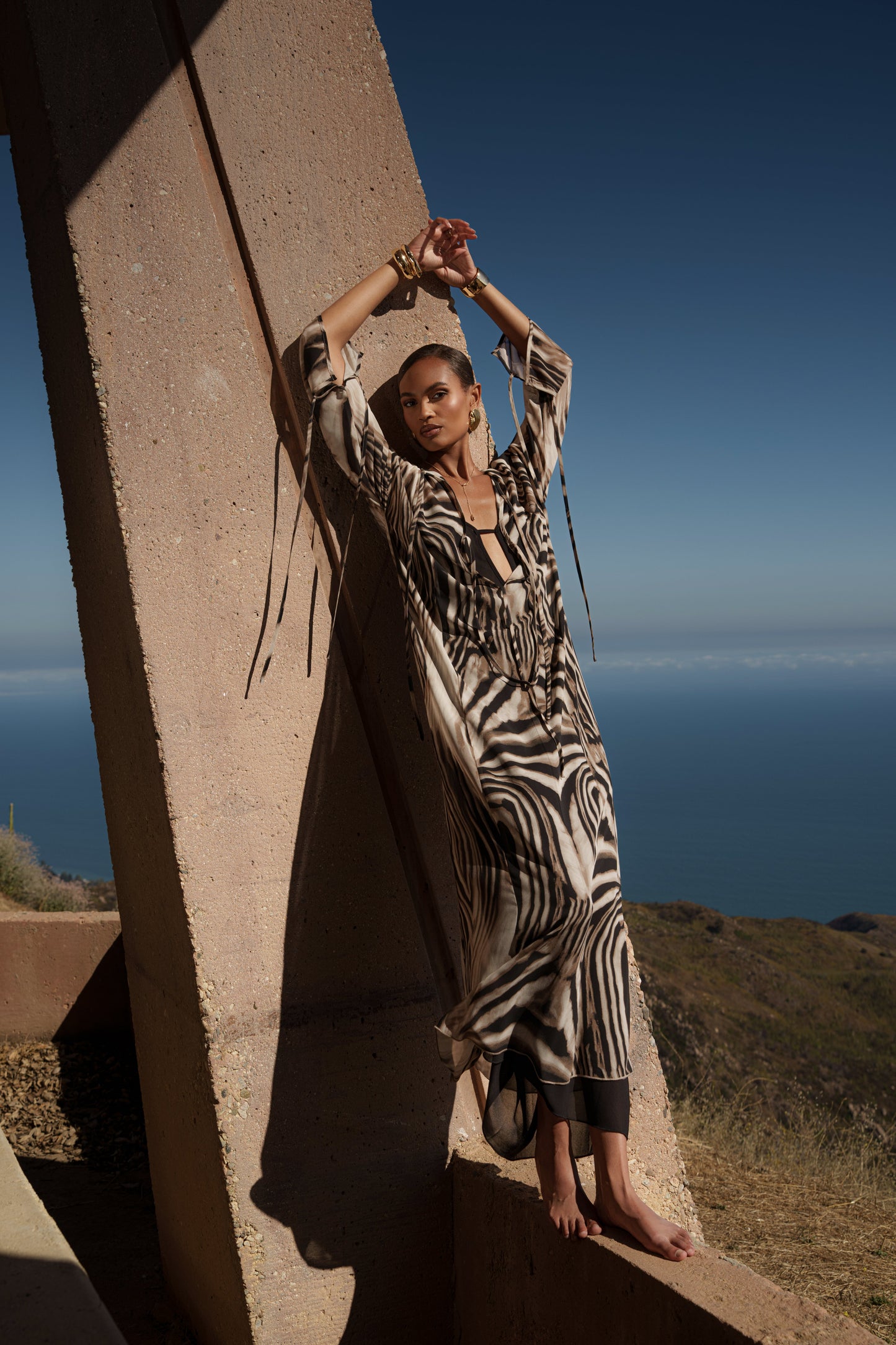 Brown Zebra Print New Vista Maxi Dress NEWFASHIONEDGE
