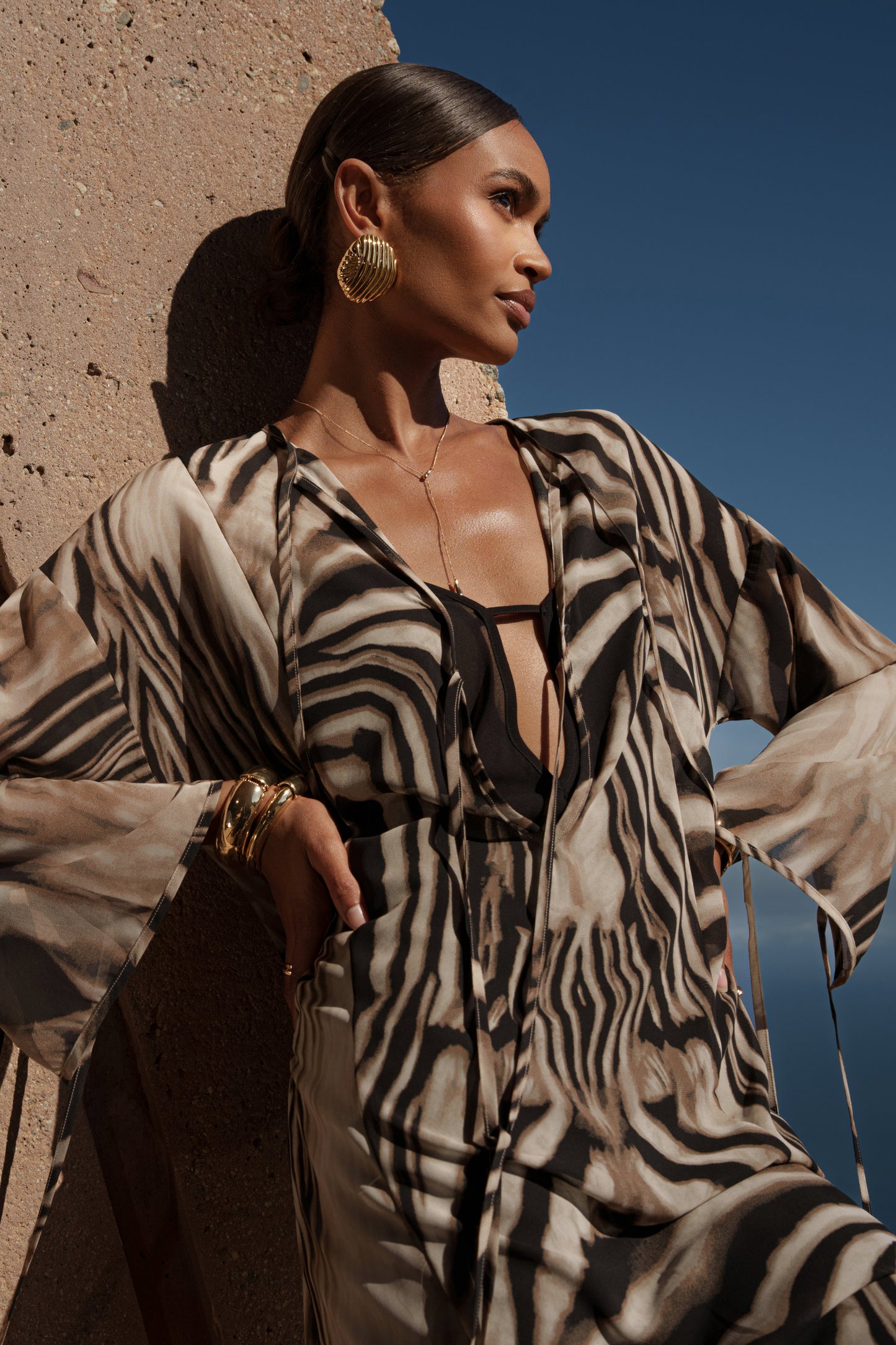 Brown Zebra Print New Vista Maxi Dress NEWFASHIONEDGE